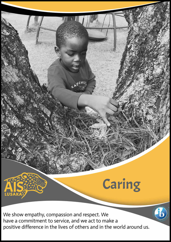 IB Learner profile caring American International school of Lusaka, Picture